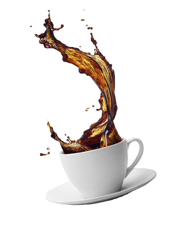 Zebra Coffee & Bakery 6 - Zebra Coffee & Bakery