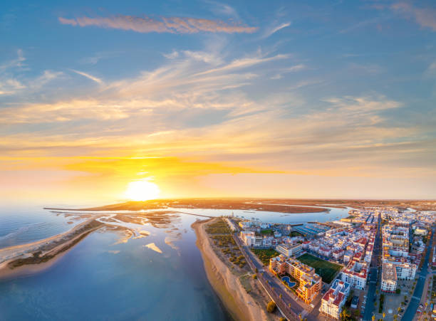 Blog 2 - Zebra Coffee & Bakery